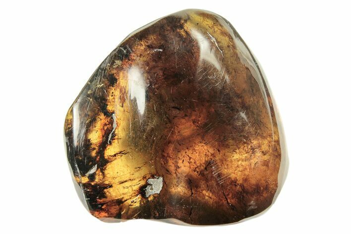 Polished Chiapas Amber ( g) - Mexico #274433